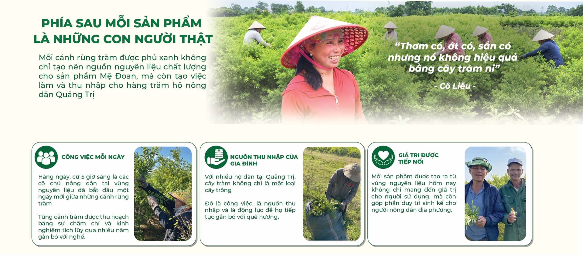 Banner chiến dịch Mệ Đoan - section 10
