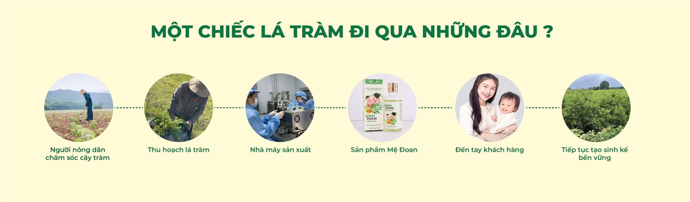 Banner chiến dịch Mệ Đoan - section 11
