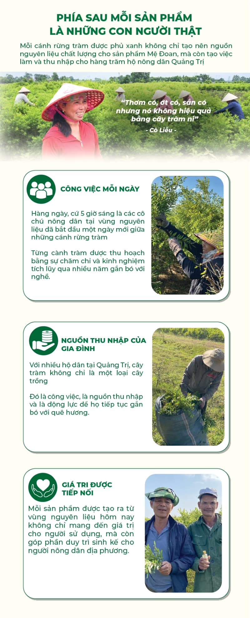 Banner chiến dịch Mệ Đoan - section 10