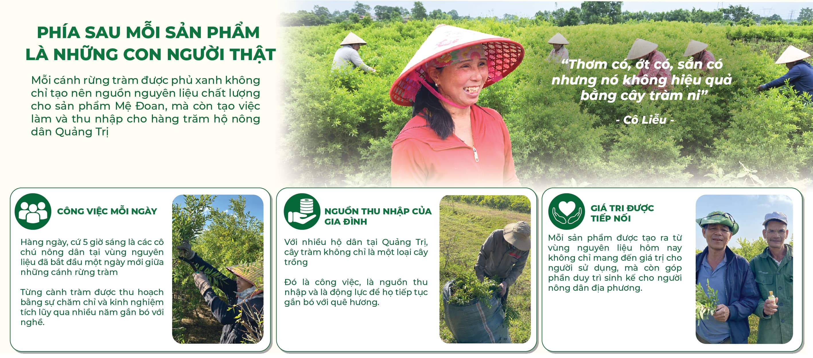 Banner chiến dịch Mệ Đoan - section 10