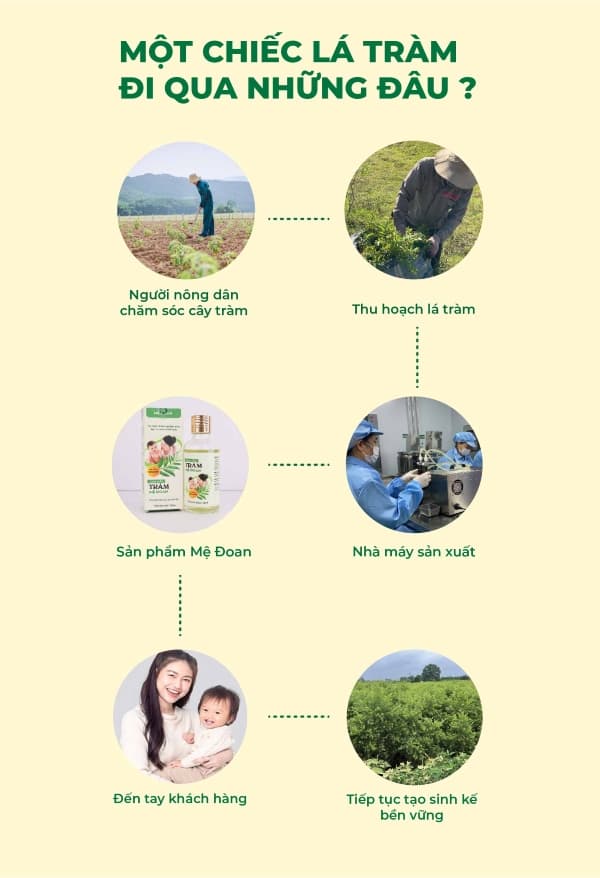 Banner chiến dịch Mệ Đoan - section 11