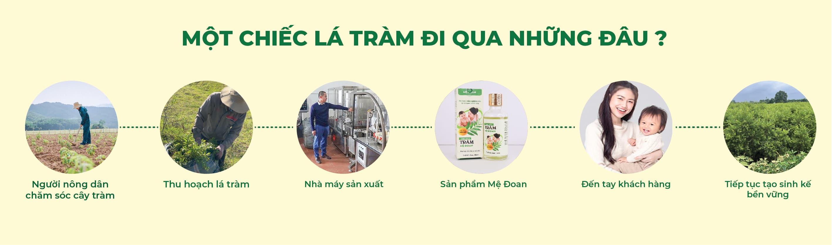 Banner chiến dịch Mệ Đoan - section 11